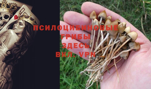твердый Абинск