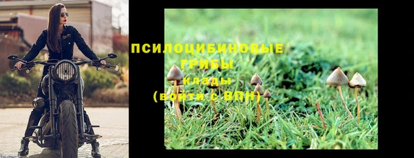 кокс Абдулино