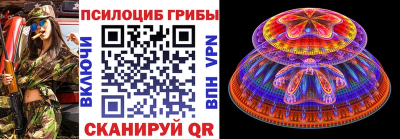 купить OMG Галлюциногенные грибы Psilocybine cubensis Мостовской